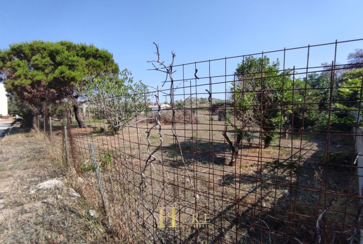 Land for sale in Lagonisi